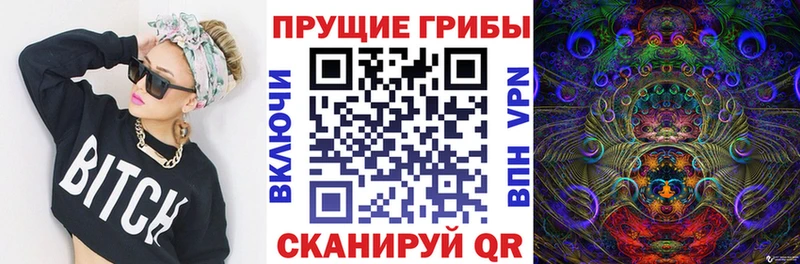 купить наркоту  Оха  Псилоцибиновые грибы MAGIC MUSHROOMS 